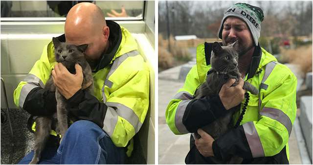 Trucker Bursts Lost Cat